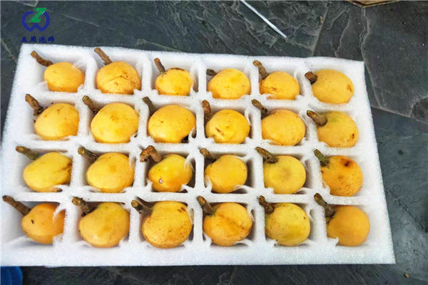 琵琶托or枇杷托，別一不小心就弄混淆了